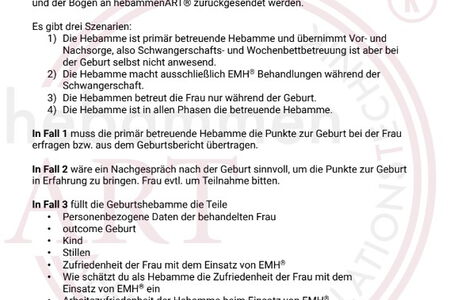 files/hebammenart/downloads/Downloads professional/Fragebogen_EMH-Evaluation_11-24_form.pdf